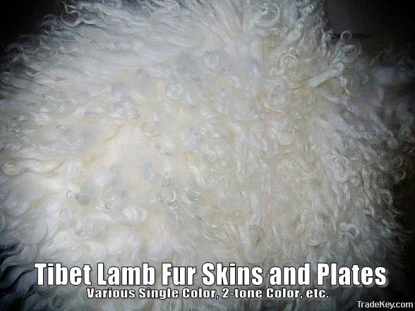 Tibet Lamb Fur Skins and Plates