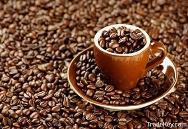 export Arabica Coffee beans,Arabica Coffee bean importer,Arabica Coffee beans buyer,buy Arabica Coffee beans,Arabica Coffee bean manufacturer,best Arabica Coffee bean exporter,low price Arabica Coffee beans,best quality Arabica Coffee bean,Coffee bean sup