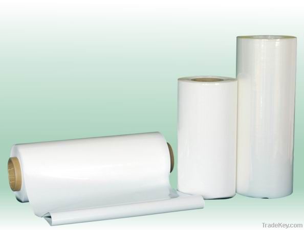 Â·LDPE Plastic Film