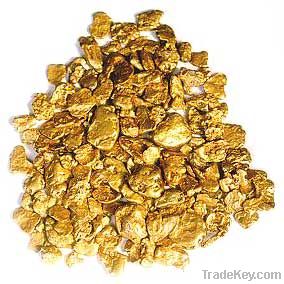 Gold Nuggets