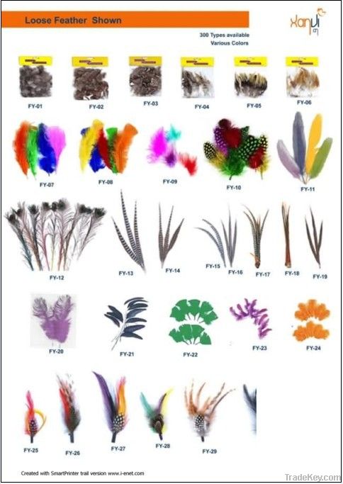 Raw Feather Material