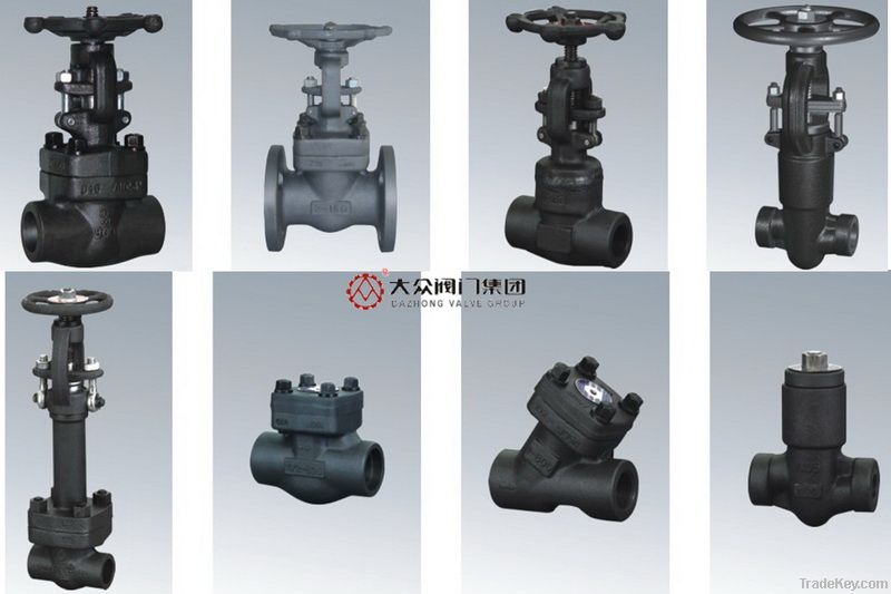 Forged steel gate valve