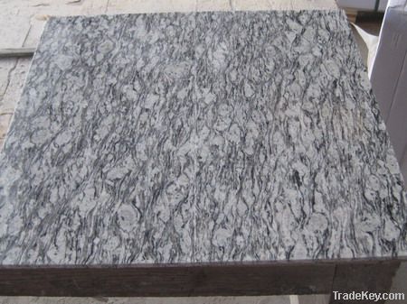 Chitrust granite China competitive professional stone oyster white ven