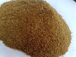 soybean meal