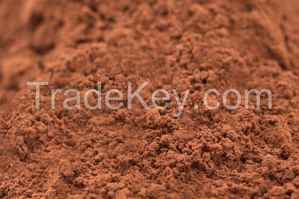 Cocoa Powder