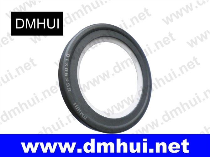 B2PT type PTFE seal for Rotary joints/Pumps/Centrifuges(65-90-10)