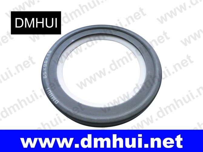 B2PT type PTFE seal for Rotary joints/Pumps/Centrifuges(65-90-10)