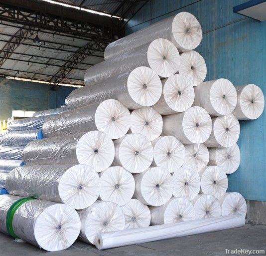 pp spun bond nonwoven for agriculture use