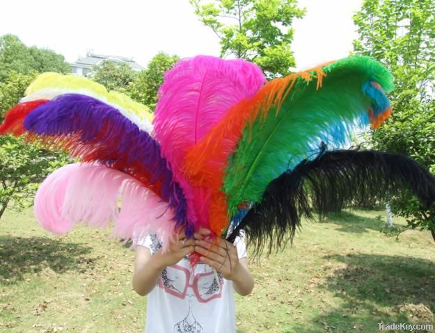 OSTRICH FEATHERS