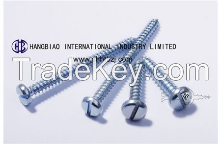 Slotted Pan Head White Zinc Self-tapping Screws
