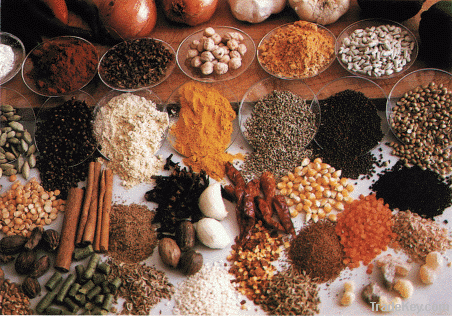 malaysian herbal and spices extracts