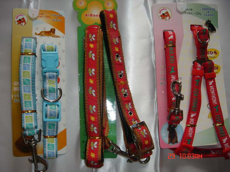 pet leash and collar