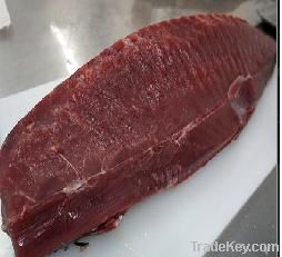 fresh tuna lion