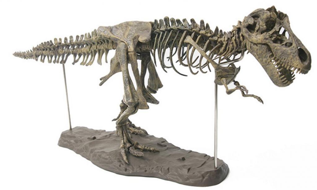 Dinosaur Skeleton Model Jigsaw Block Puzzle