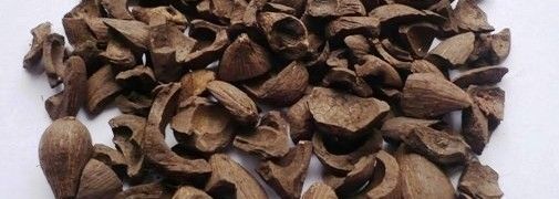 High Quality Palm Kernel Shell