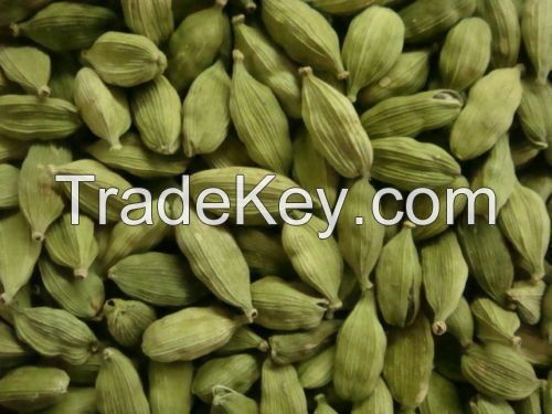 Healthy and Tasty Fresh Green Cardamom