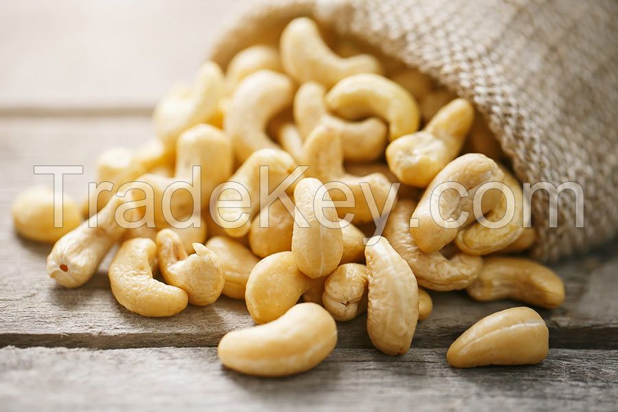 High Quality Raw Cashew Nuts
