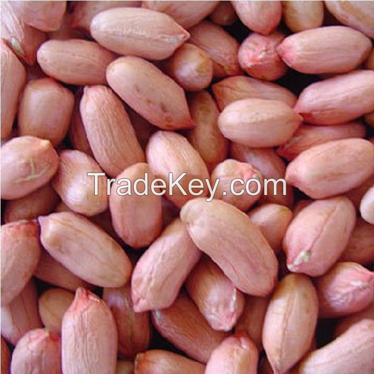 High Protein Red Skin Peanuts