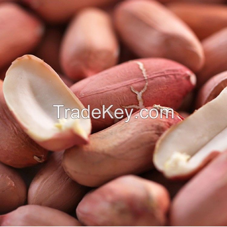 Good quality peanuts 100% Natural peanut