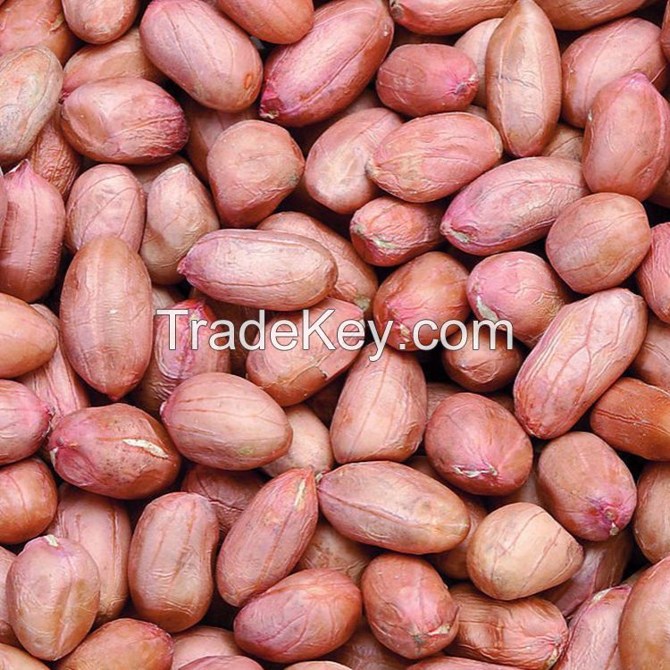 High Protein Red Skin Peanuts