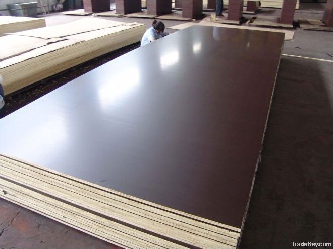 black/brown film faced plywood