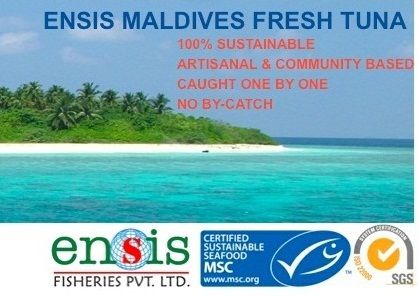 Ensis Fresh and Frozen Tuna Exports Maldives