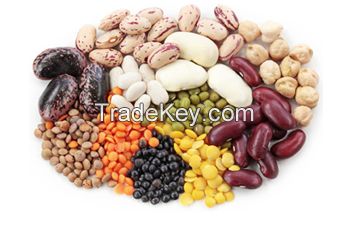 Beans, Legumes, Rice
