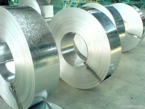 Galvanized steel coils (HDG)