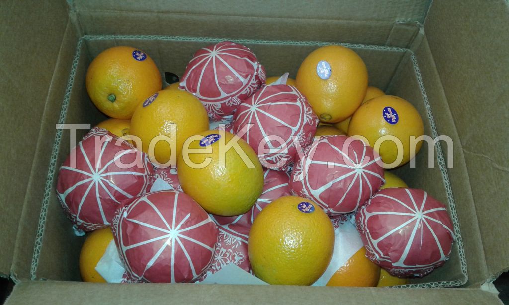 Navel Orange