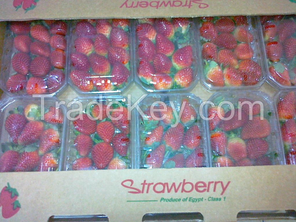 Fresh Strawberry