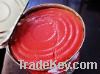 Canned tomato paste