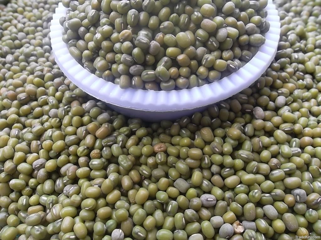 Green Mung Beans