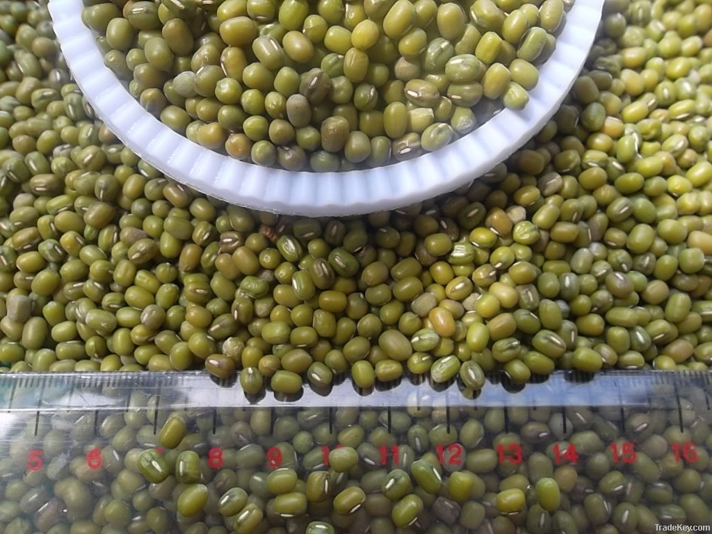 Green Mung Beans