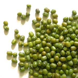 Green Mung Bean