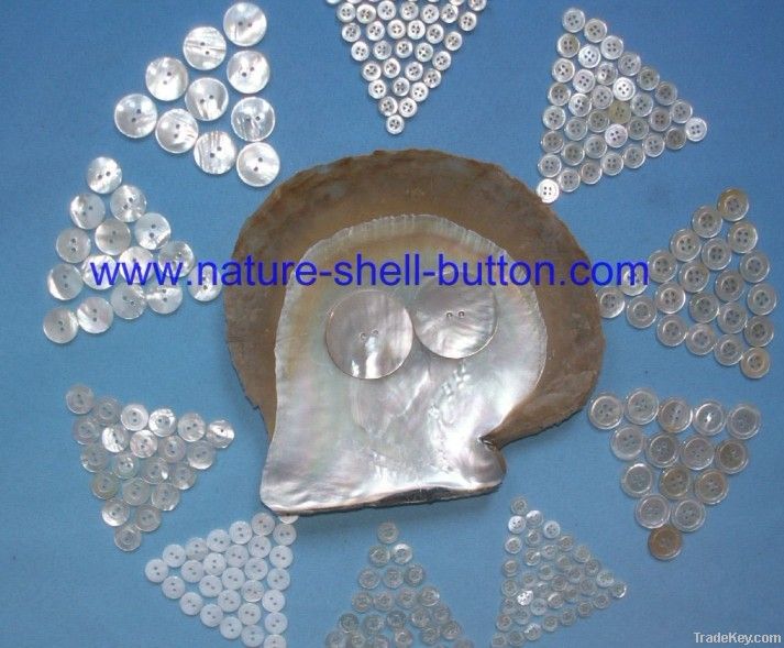nature shell button, trocas shell button, mop shell button, black shell