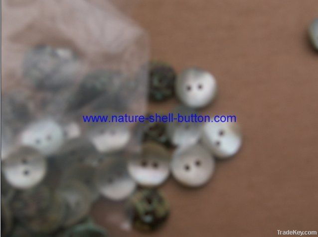 Luminous snail White snail button  shell button akoya shell butto
