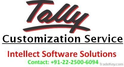 Tally Customization Service