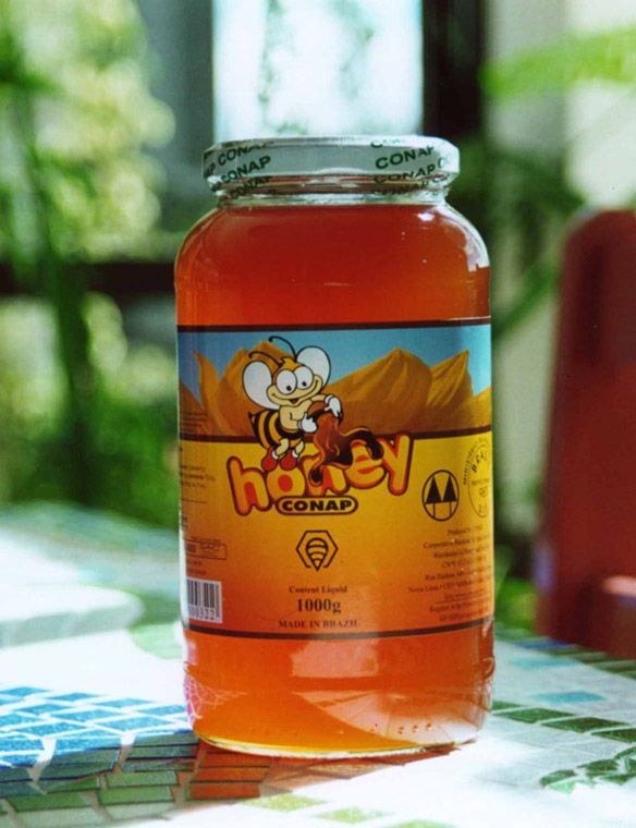 Natural 100% Pure Brazilian Honey