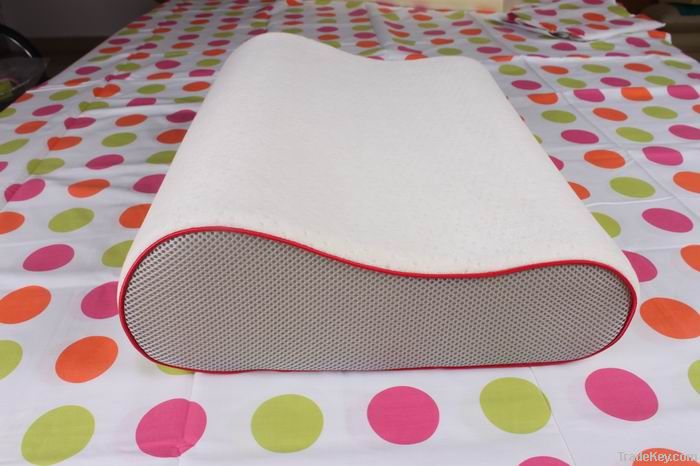 Popular Contour Memory Foam Pillow