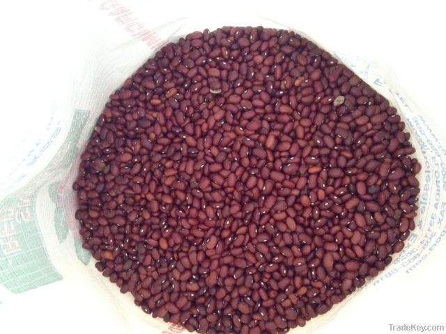 Red & Black beans