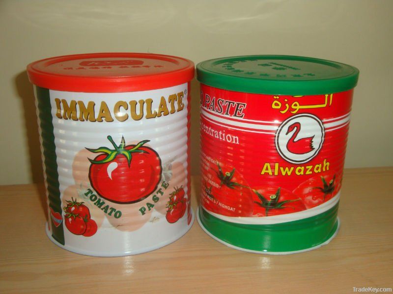 tomato paste / ketchup / sauce