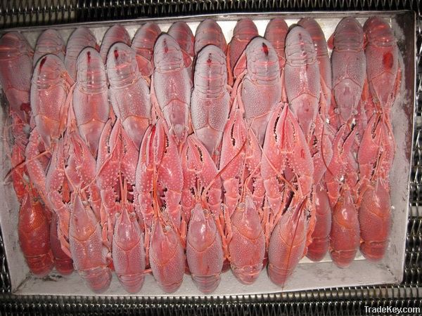 Block frozen cooked whole crayfish unseasoned
