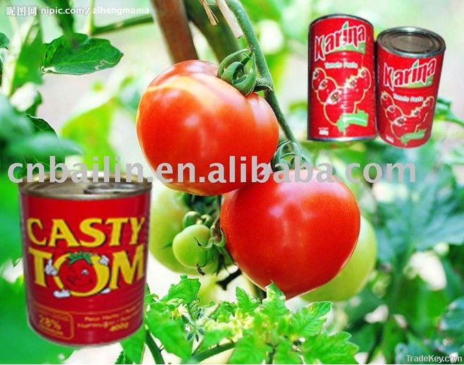 canned tomato paste 28~30%