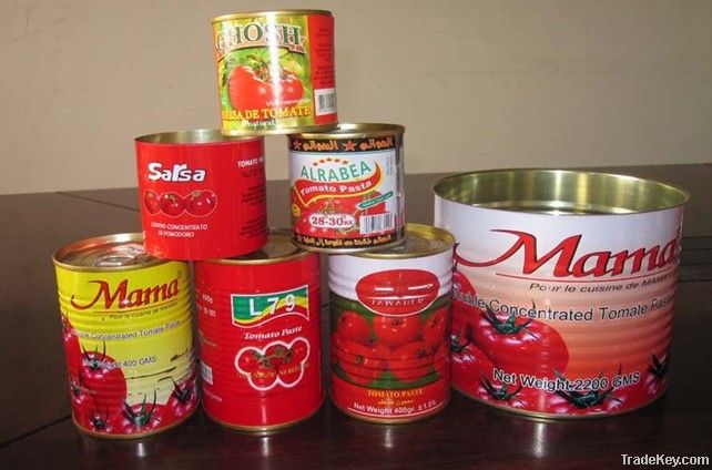 canned tomato paste/tomato ketchup with high quality and low price