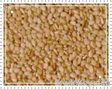 Sesame Seeds