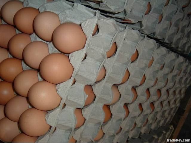 Fresh Brown And White Chicken Eggs