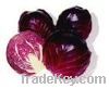 Purple Wild Cabbage Pigment