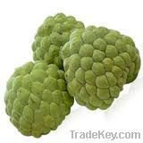 Custard Apple