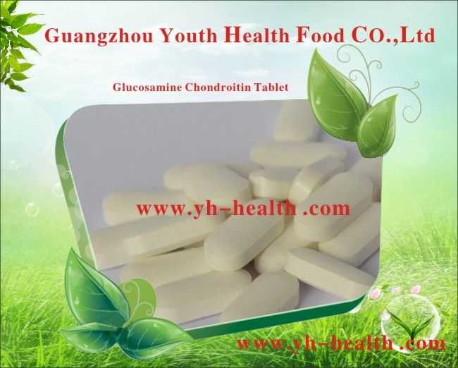 OEM brand Glucosamine sulfate 250mg + chondroitin sulfate 250mg + msm 100mg tablets