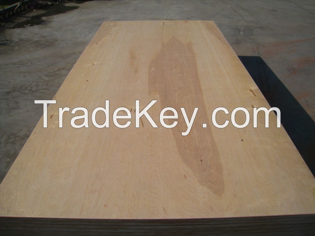 Birch Plywood, poplar core, E2 glue